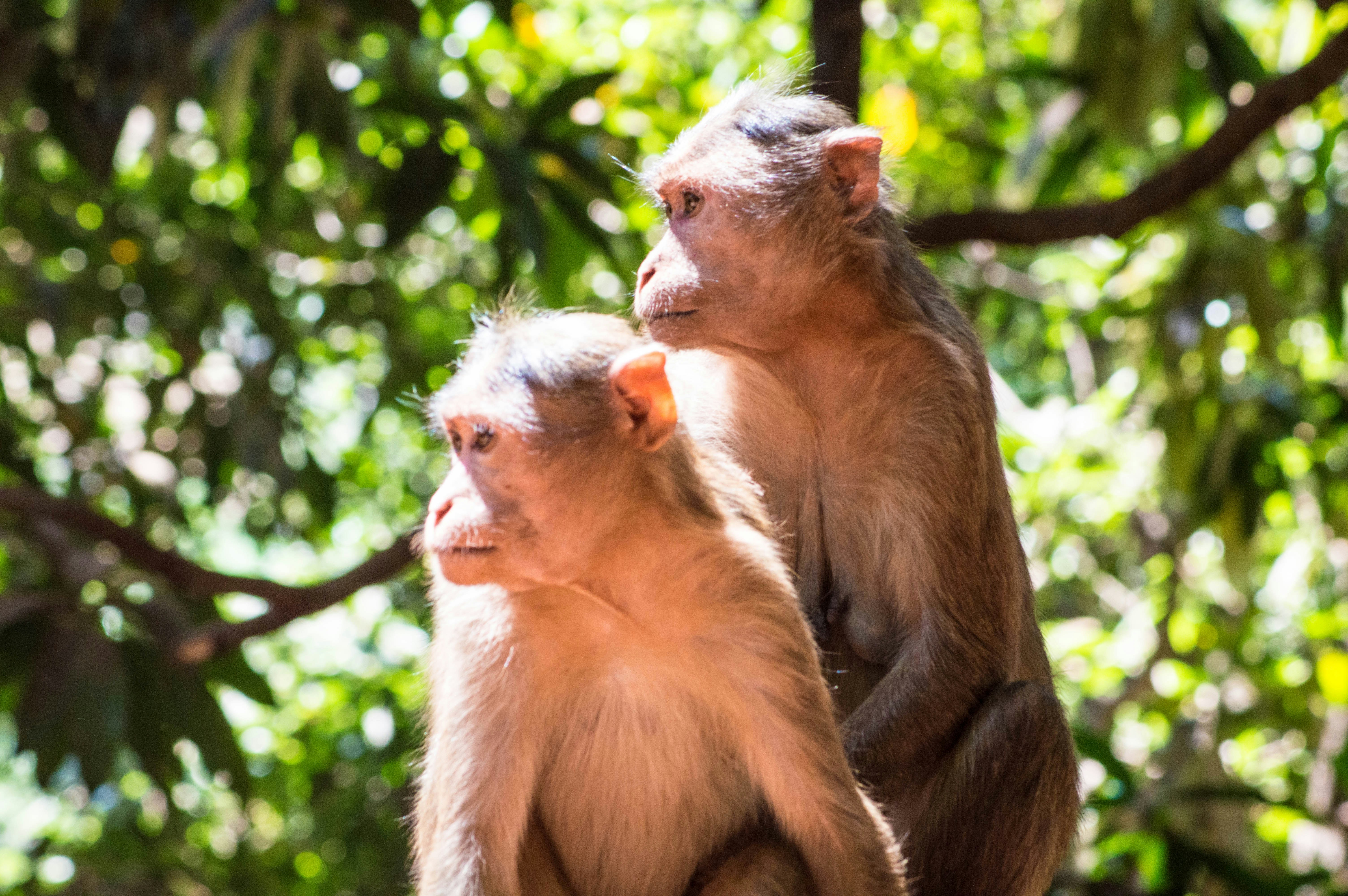 Photo by i_am_a_techgeek