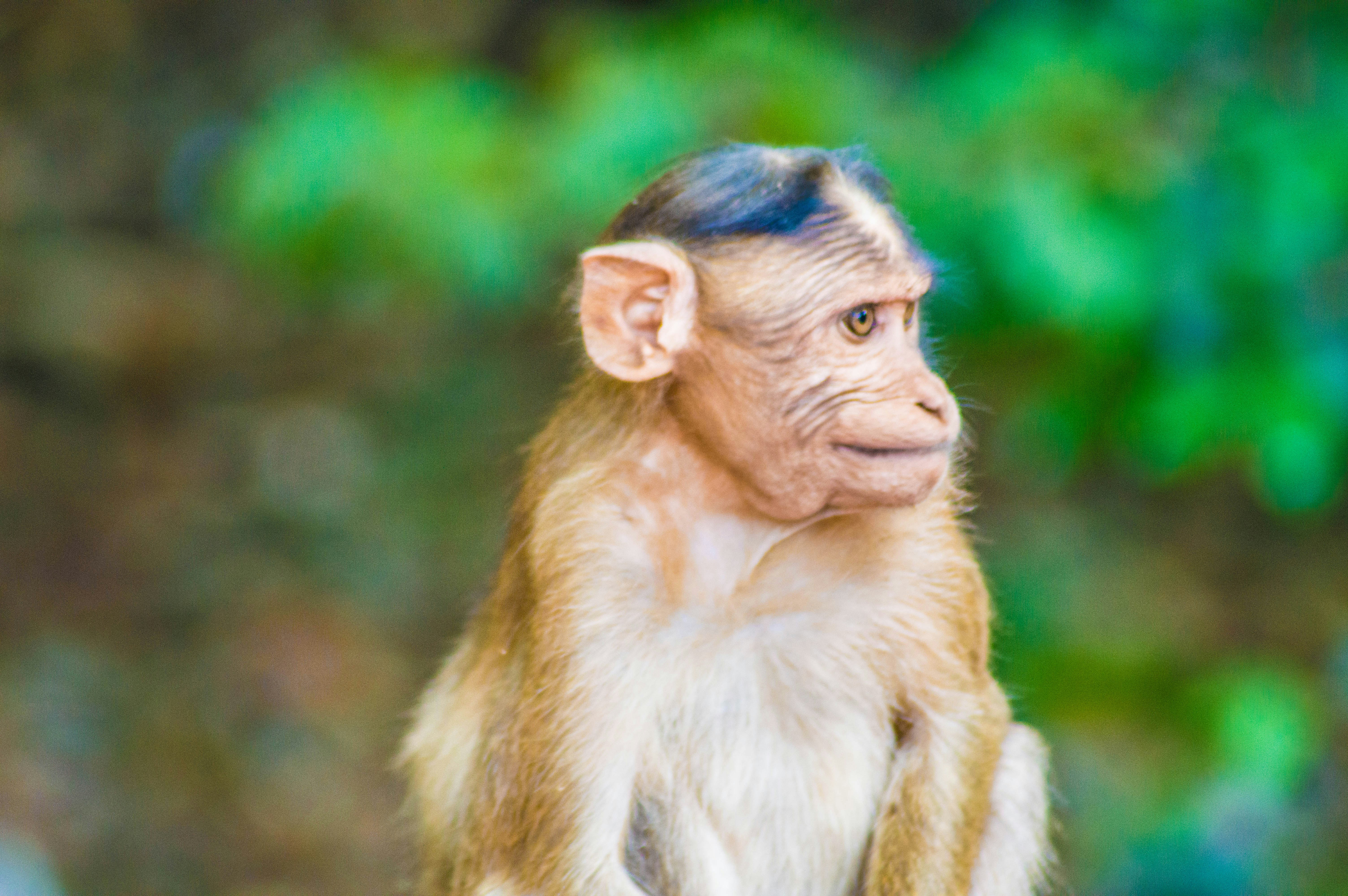 Photo by i_am_a_techgeek