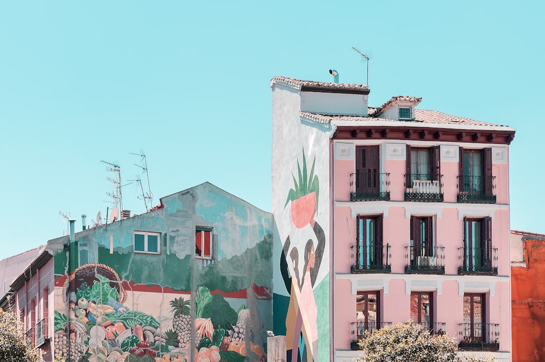 buildings with murals during day,