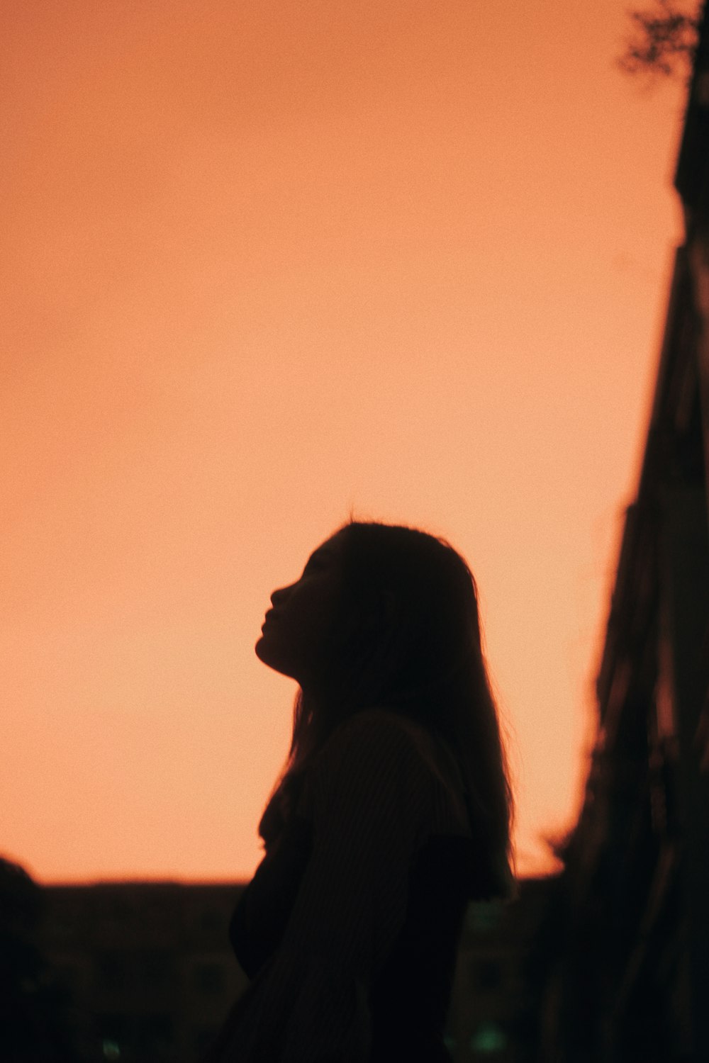 silhouette of woman with head up during golden hour