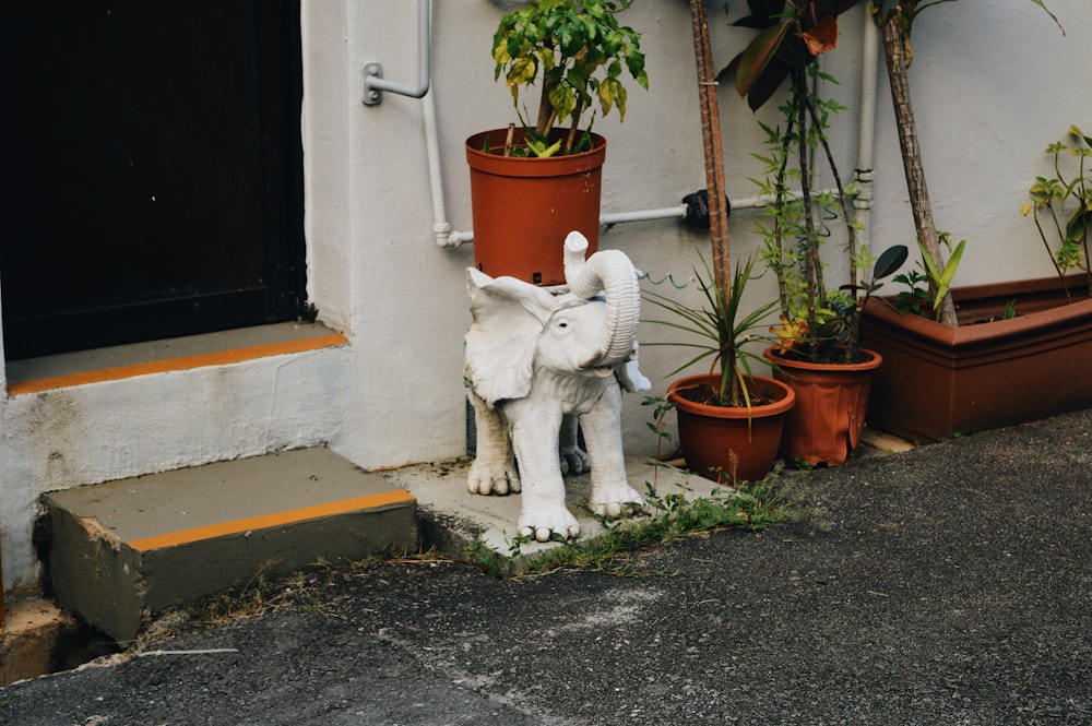 white elephant statuette near plant pot