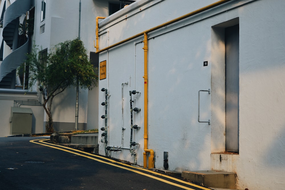 white painted building near green leaf tree