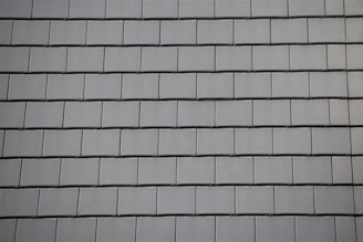 A slate roof with neat rows of ardoises under soft daylight.