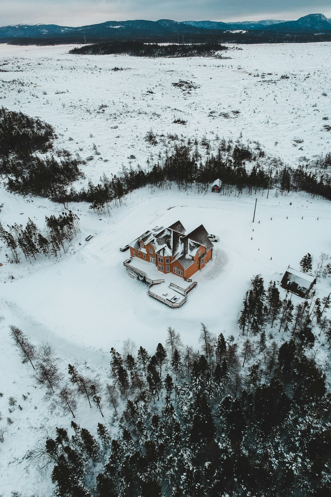 brown and black house on snow field beside trees during daytime