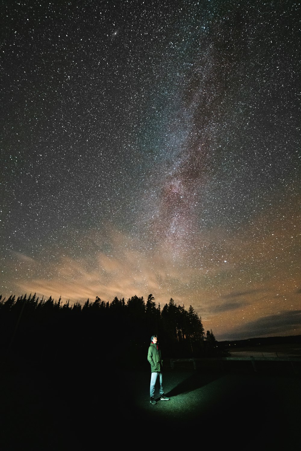 uomo in piedi sul campo di erba vicino alla foresta durante la notte