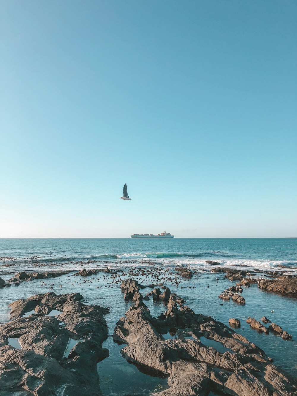 gray rock formations on body of water and bird flying in the sky during daytime