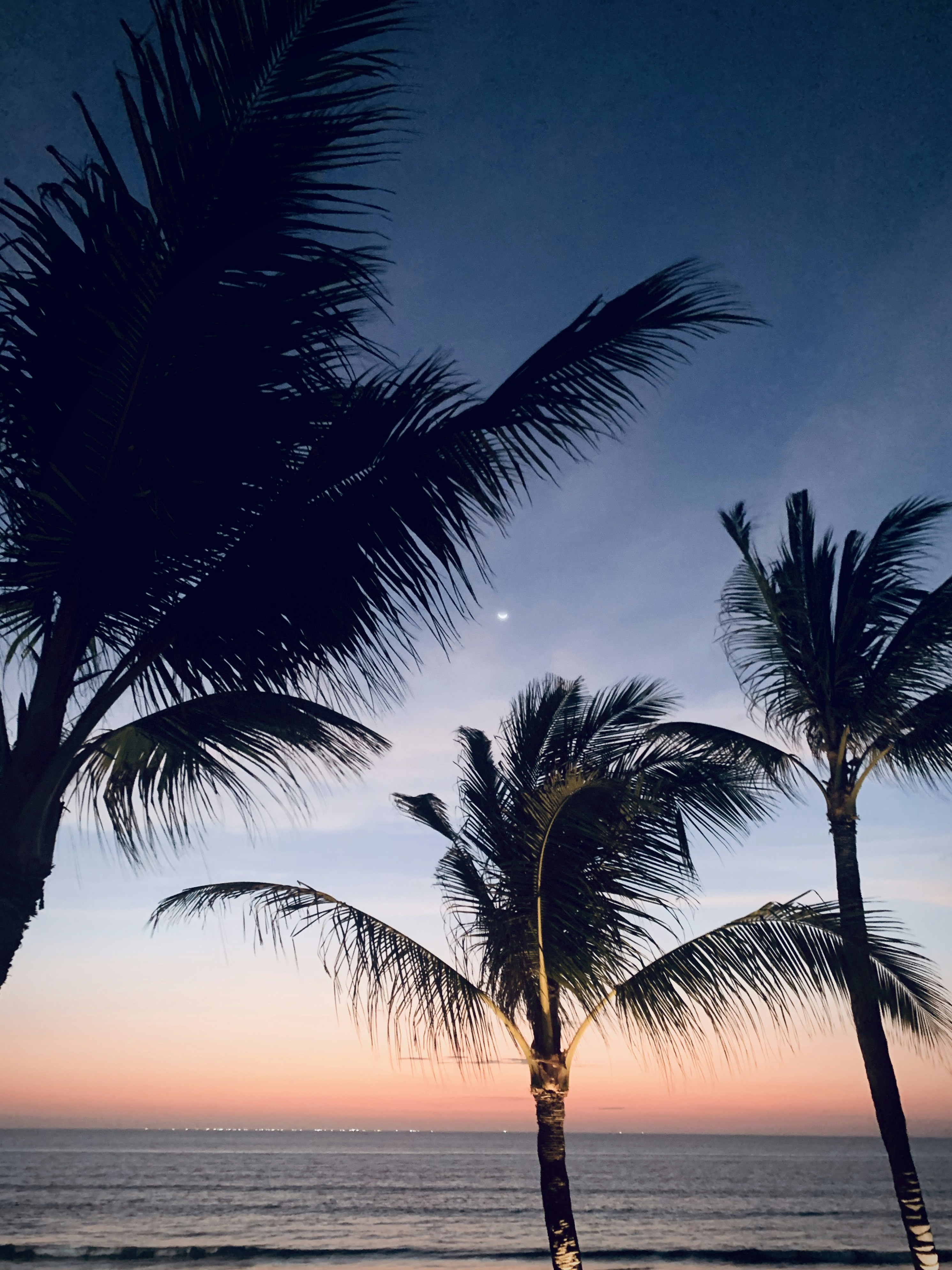 Photo by francistogram