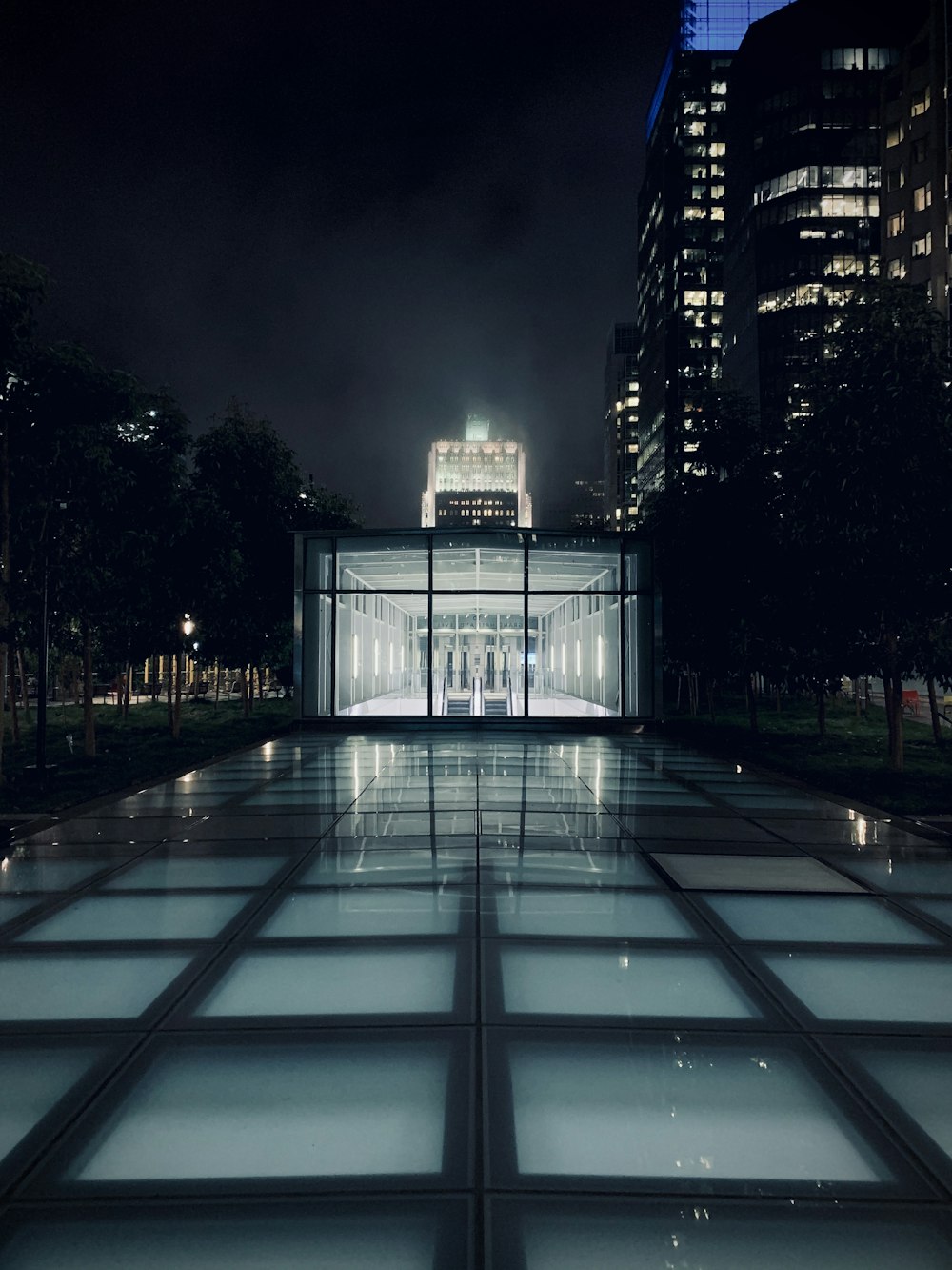 clear glass walled buildings during night time