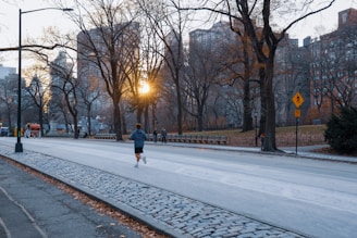 Runners jogging along a tree-lined path with colorful city buildings in the background during golden hour.