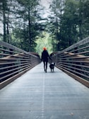 A person wearing a bright orange hat walks a dog on a wooden bridge surrounded by dense green trees. The perspective is from behind, emphasizing the long path extending into the forest.