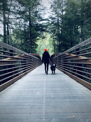 A person wearing a bright orange hat walks a dog on a wooden bridge surrounded by dense green trees. The perspective is from behind, emphasizing the long path extending into the forest.