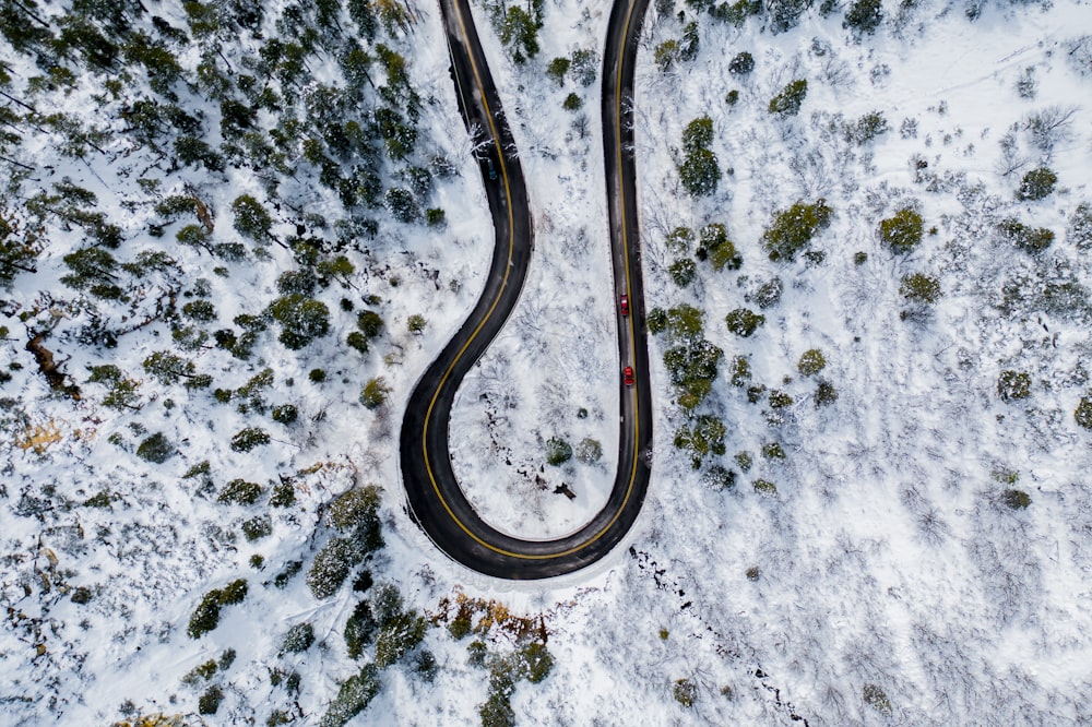 cars on road with trees and snowfield during day