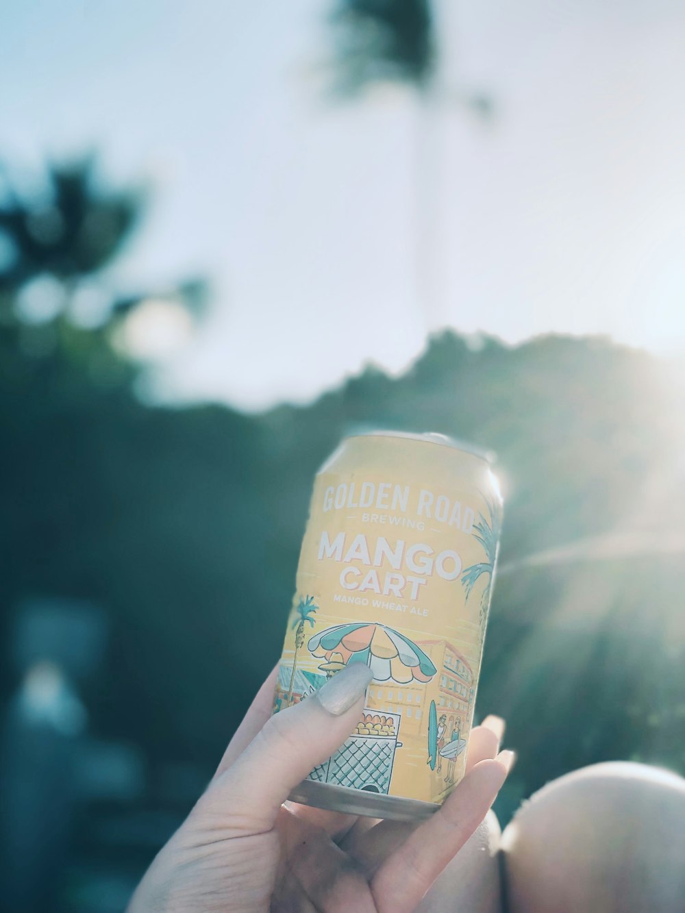 shallow focus photo of Mango Cart can