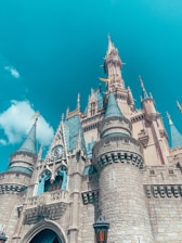 Disney Castle