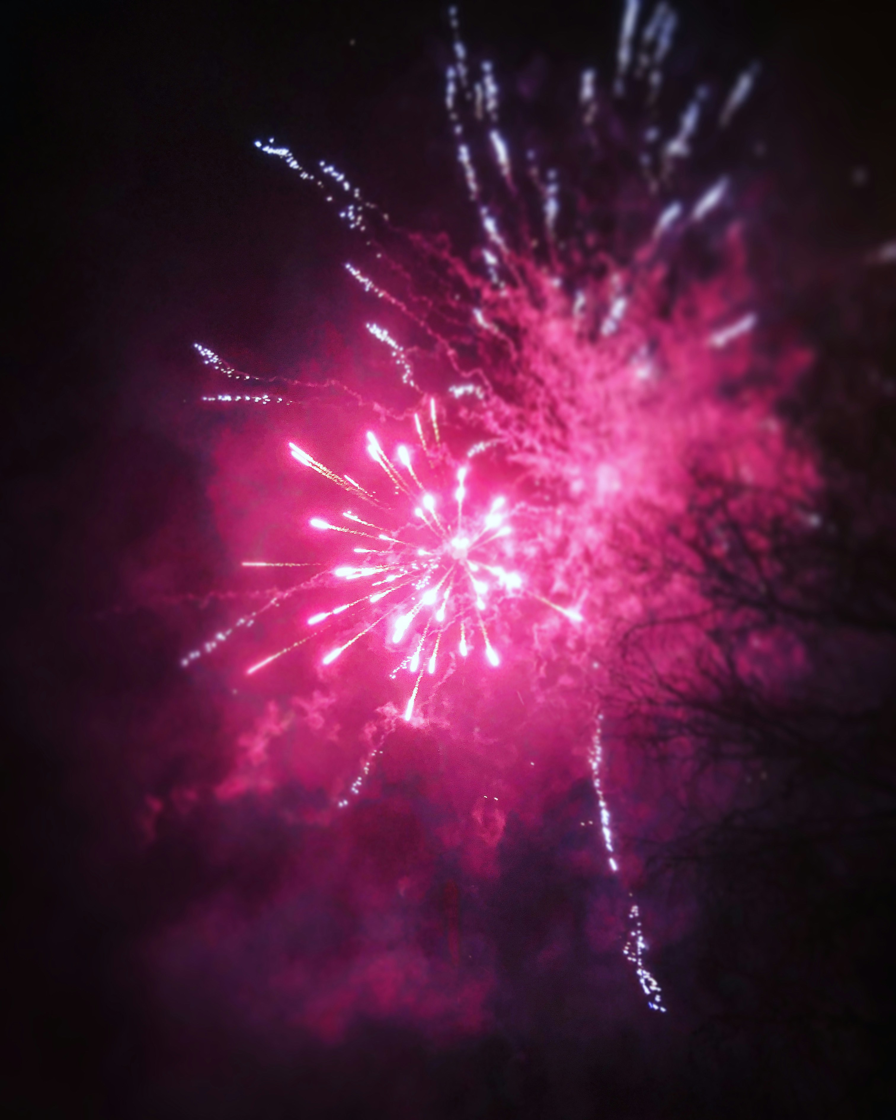 Photo by anton_ahlberg101