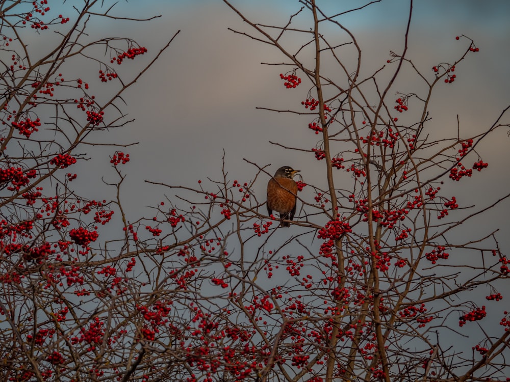 bird on tree