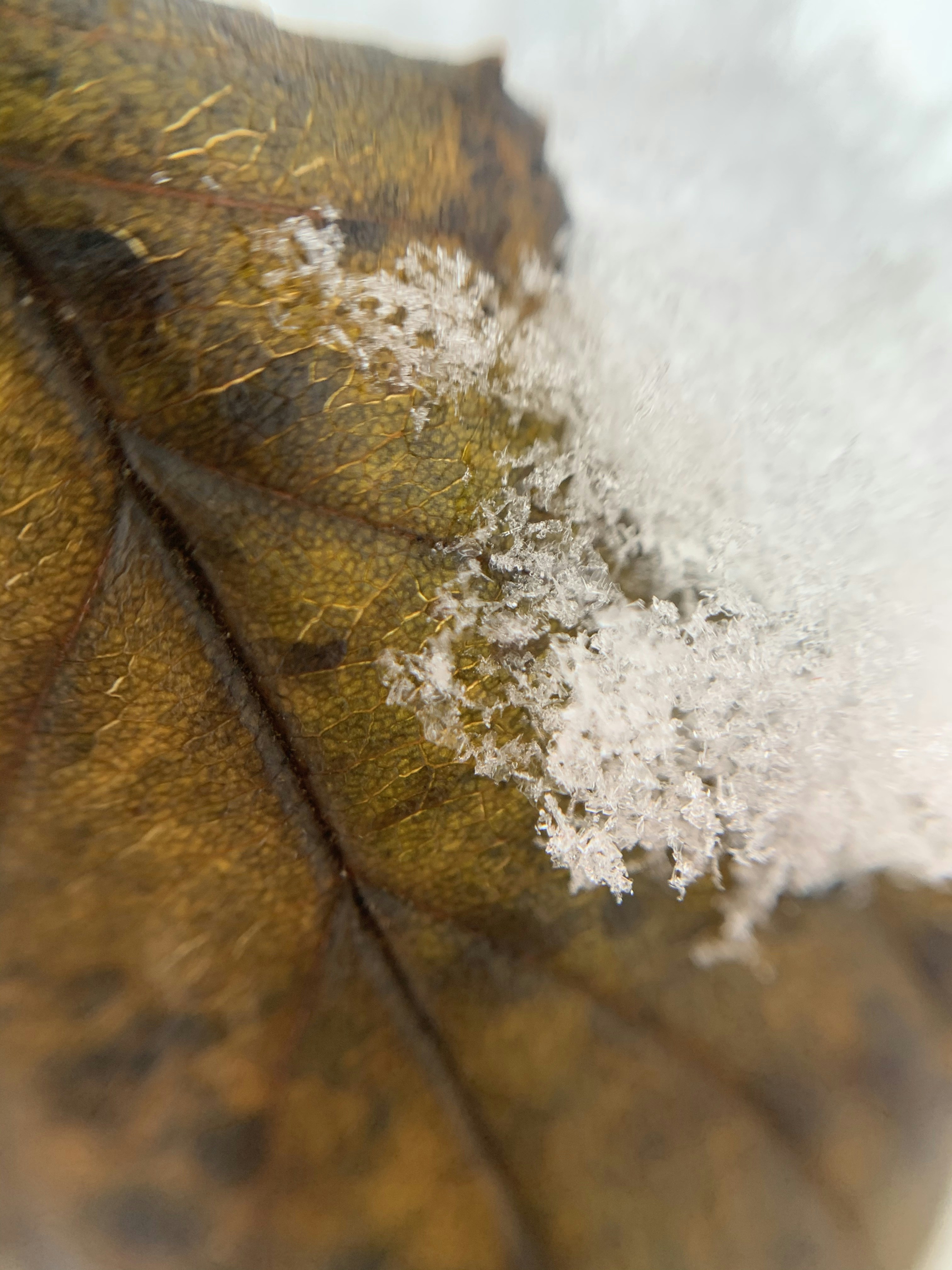 Mandy Maass (@mandyzines) | Komunitas Foto Unsplash