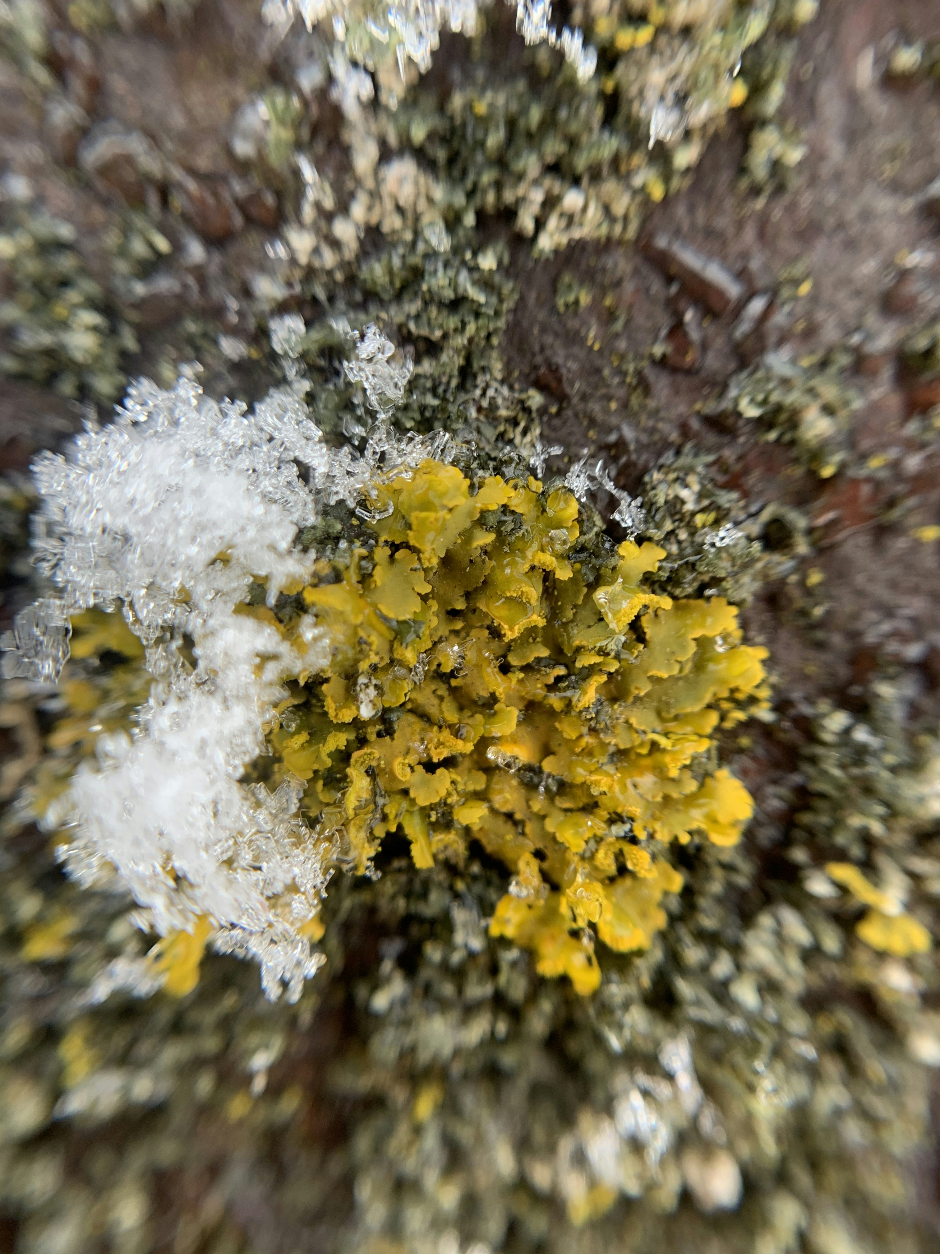 Mandy Maass (@mandyzines) | Komunitas Foto Unsplash