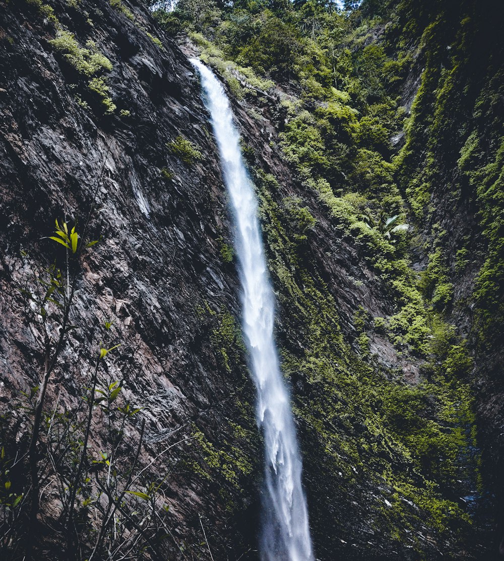 Cascata nella foresta