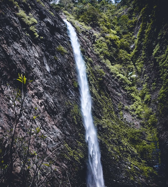 waterfall in forest in Someshwara Wildlife Sanctuary India