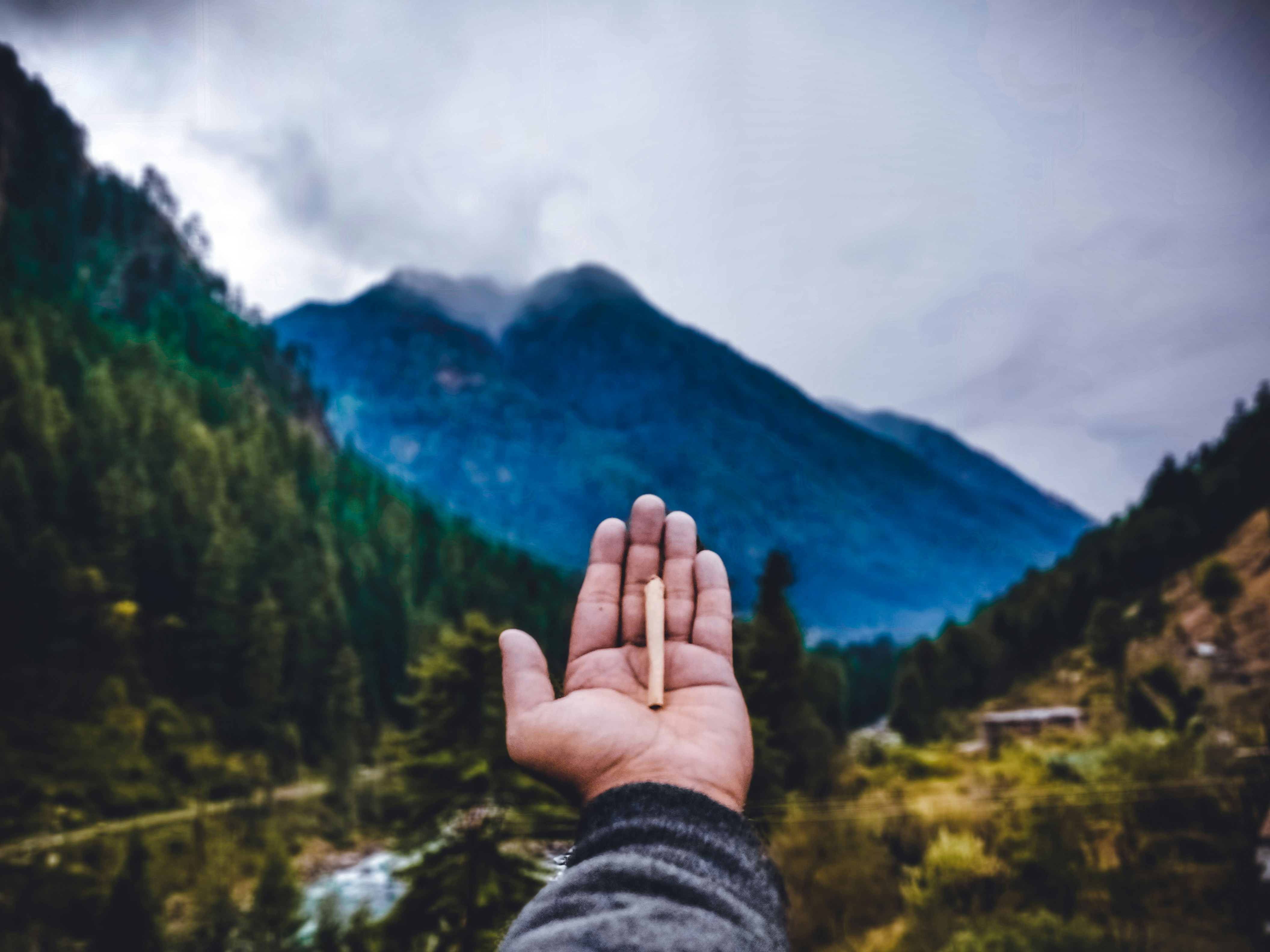 Photo by aayushmaansharma