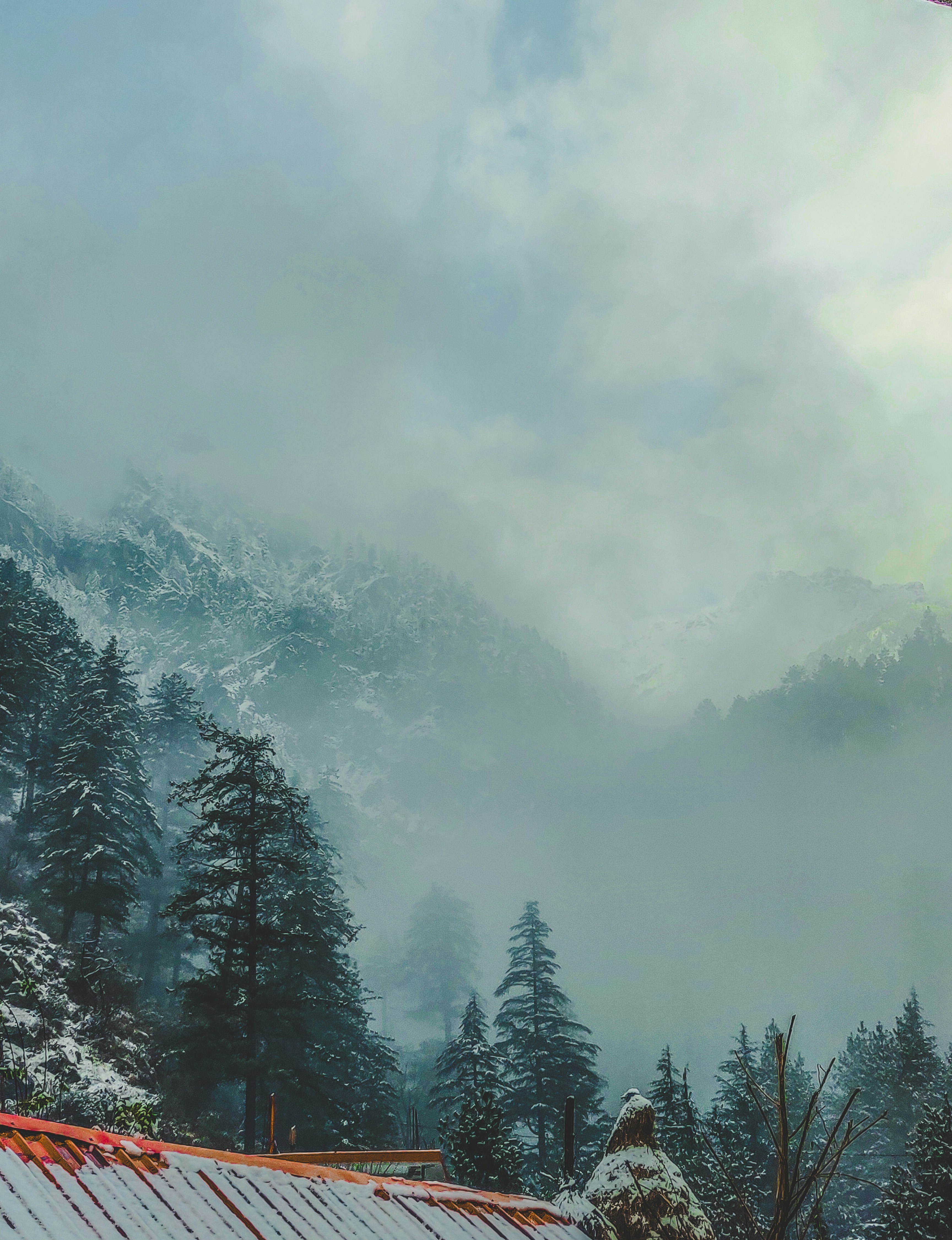 Photo by aayushmaansharma