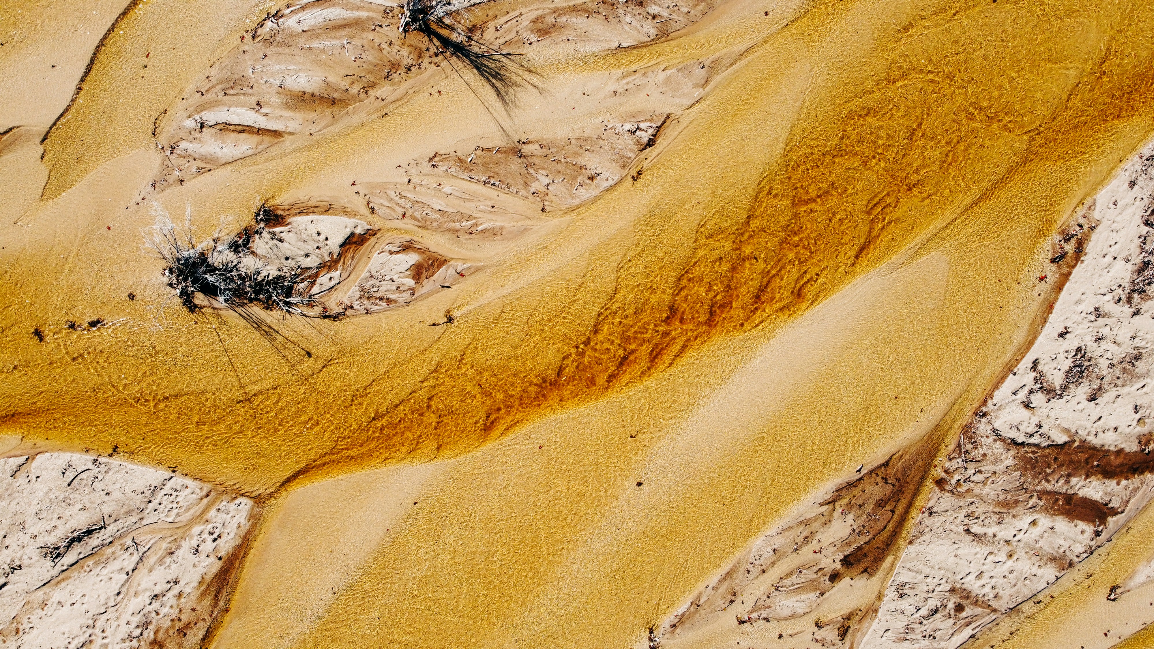 Photo by firedorange717