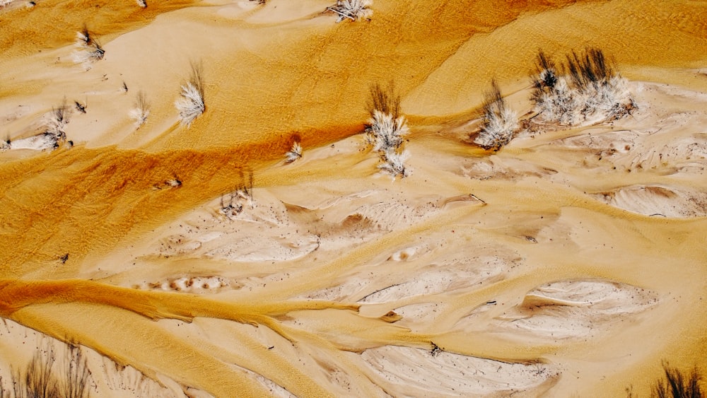 an aerial view of sand dunes and trees