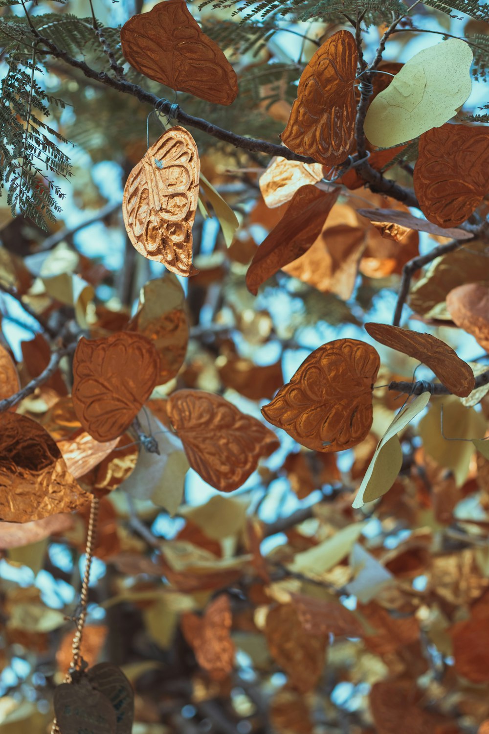 shallow focus photo of brown leaves