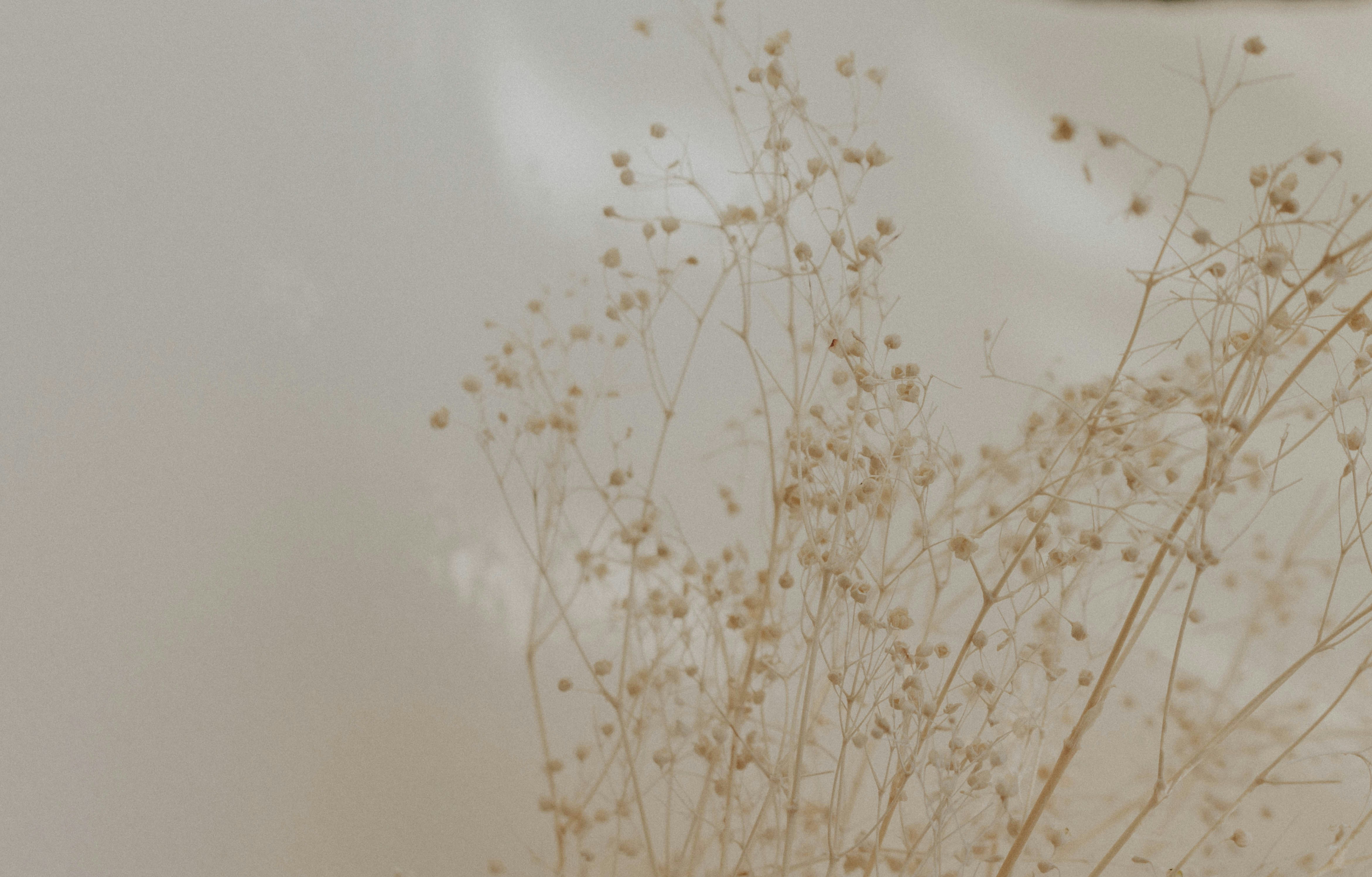 Photo by thewildflowerpress