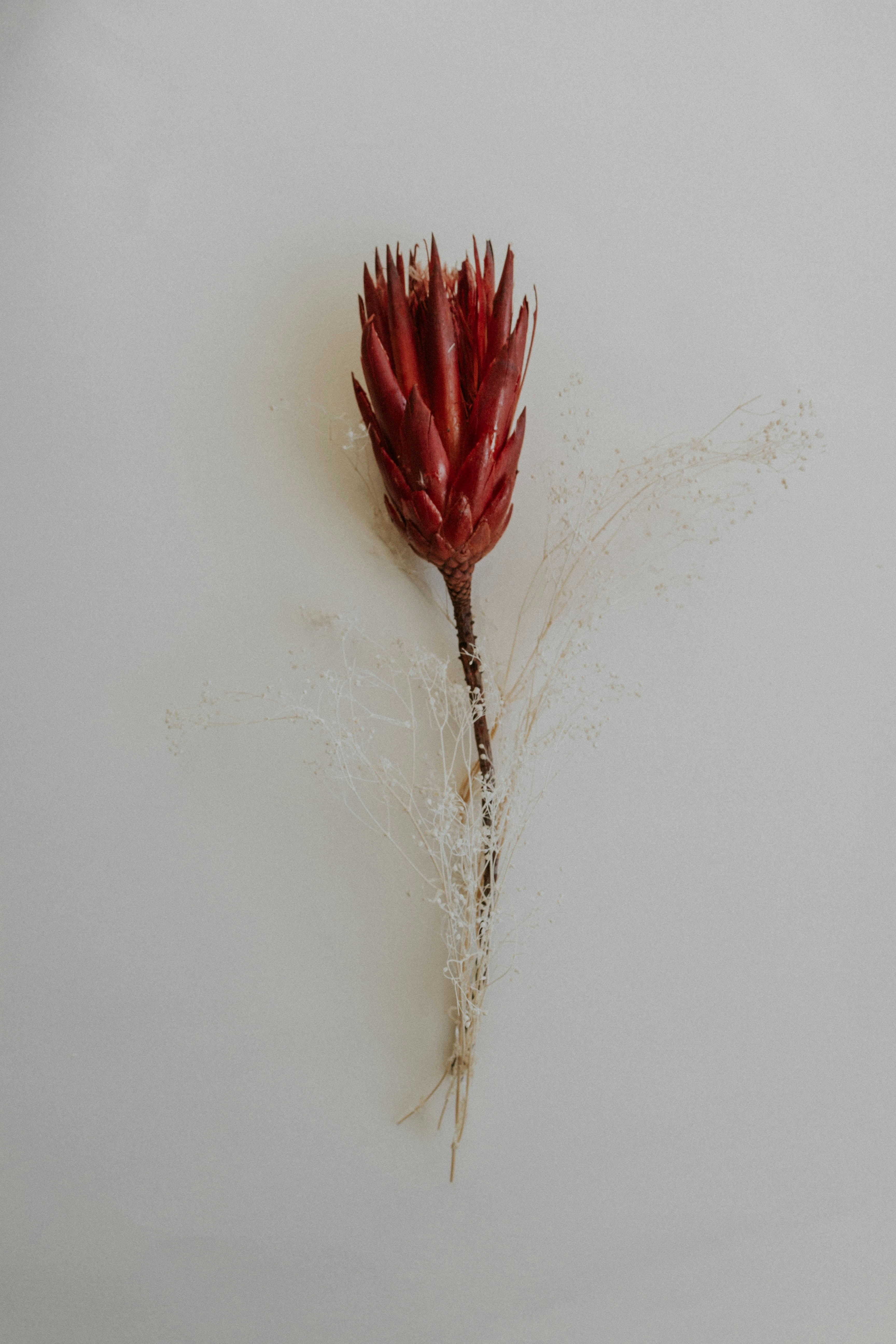 Photo by thewildflowerpress