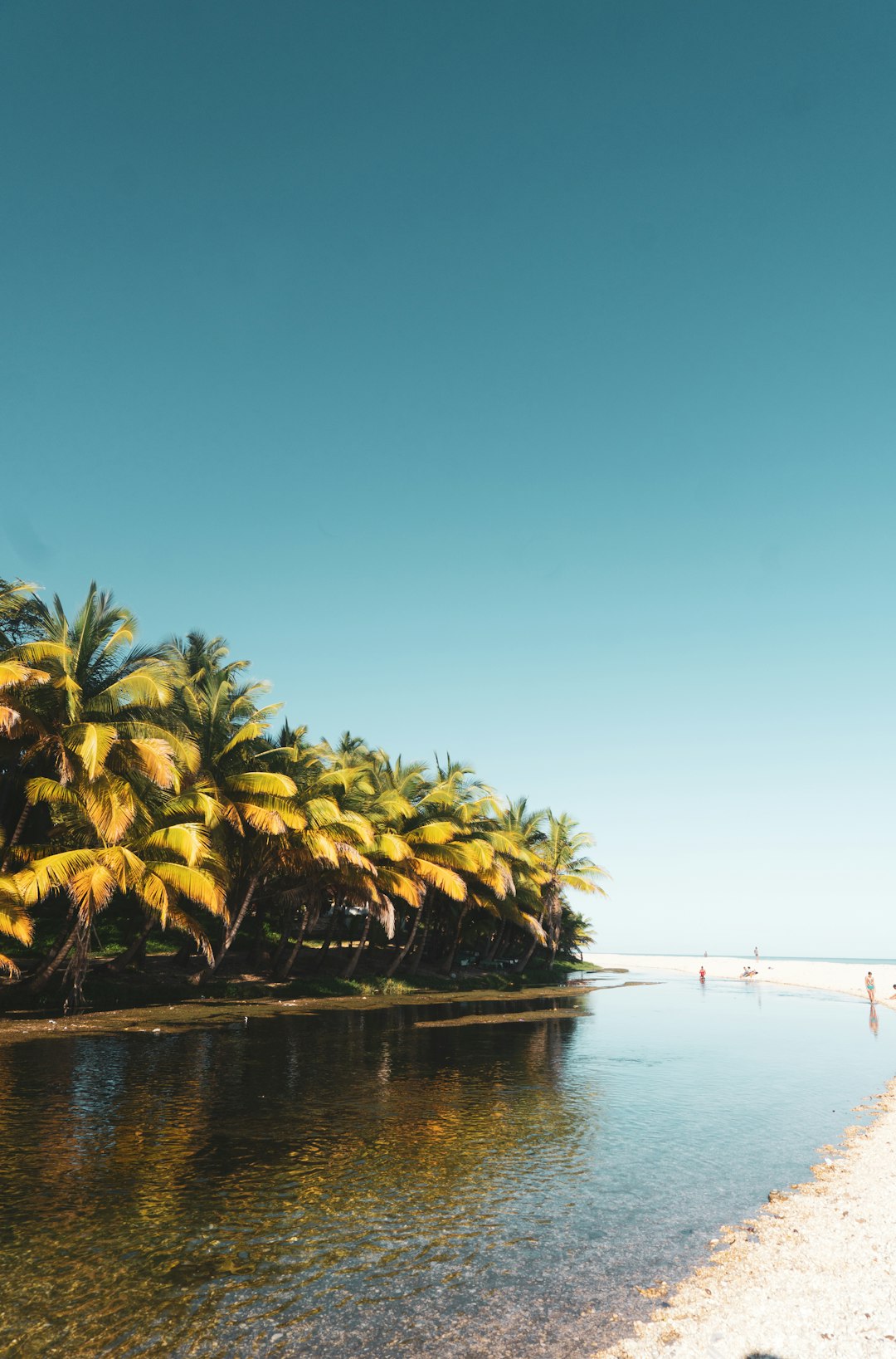 travelers stories about Beach in Barahona, Dominican Republic