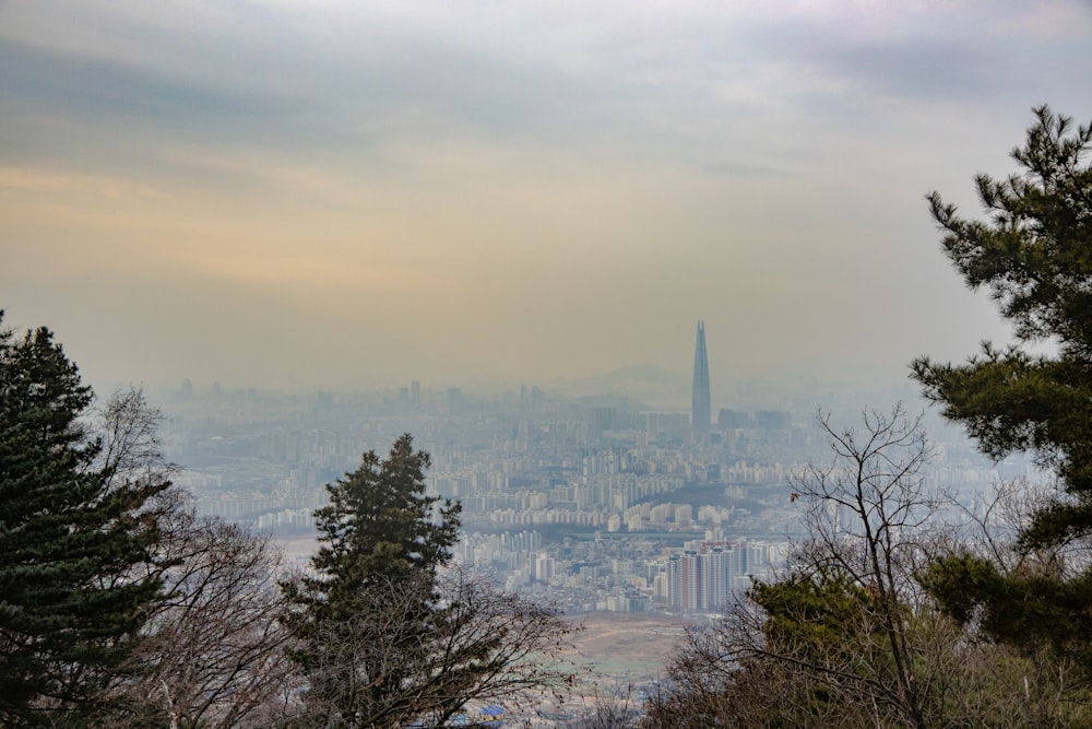 a view of a city from the top of a hill