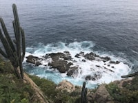 ocean during daytime