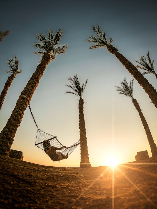 woman lying down on hammock during daytime in Hurghada Egypt