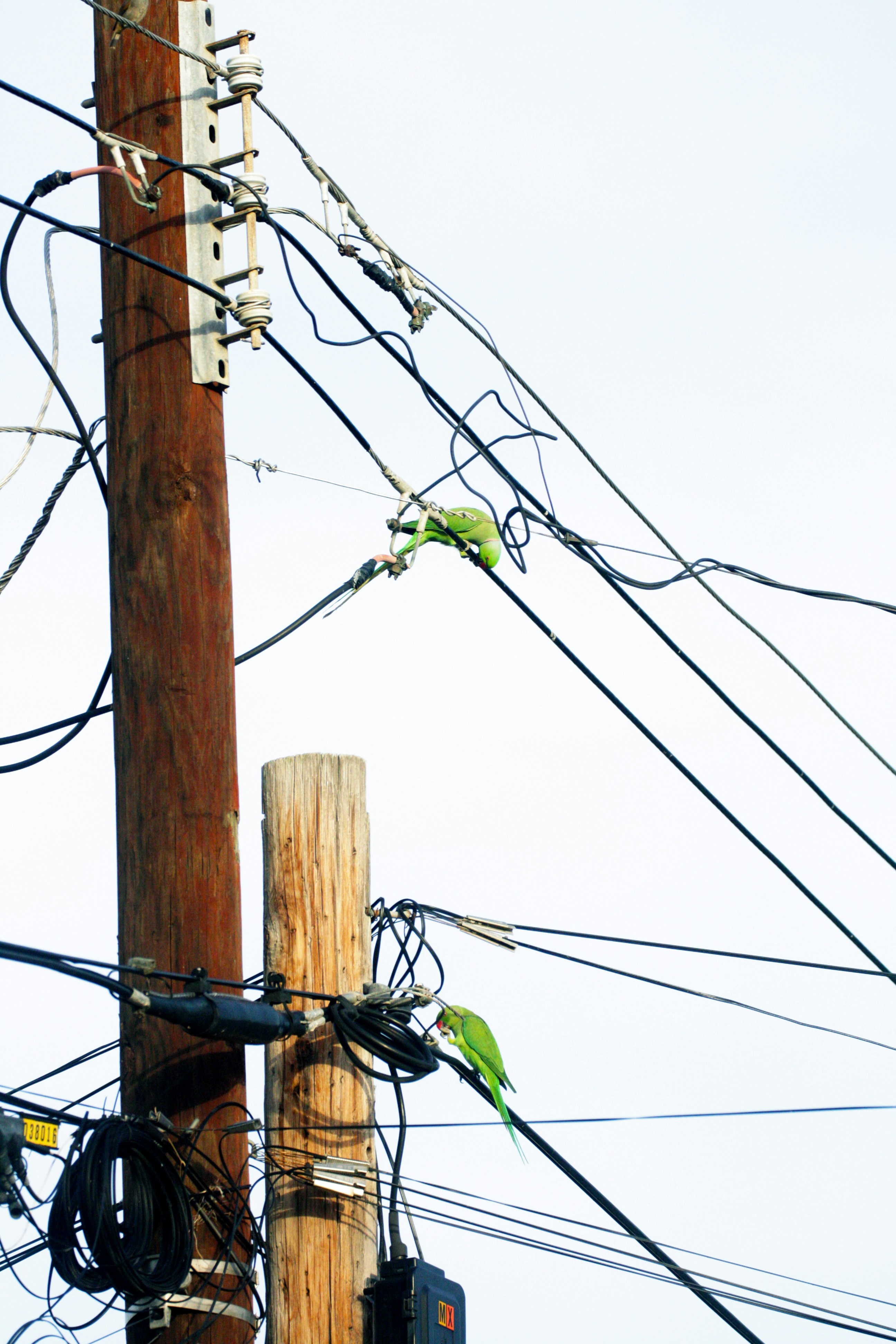 Electric Pole Pictures | Download Free Images on Unsplash