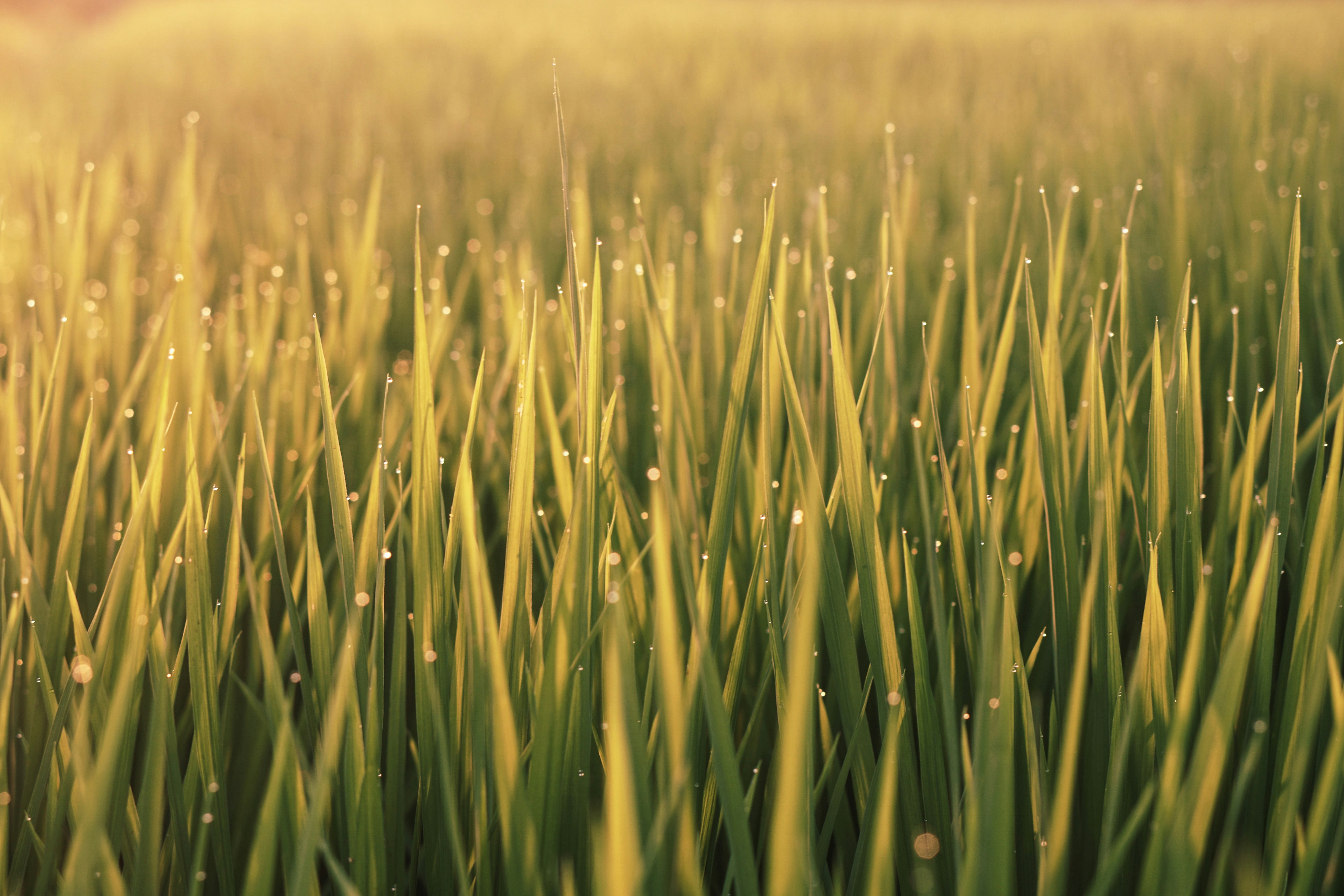 Photo by delightfulartefacts