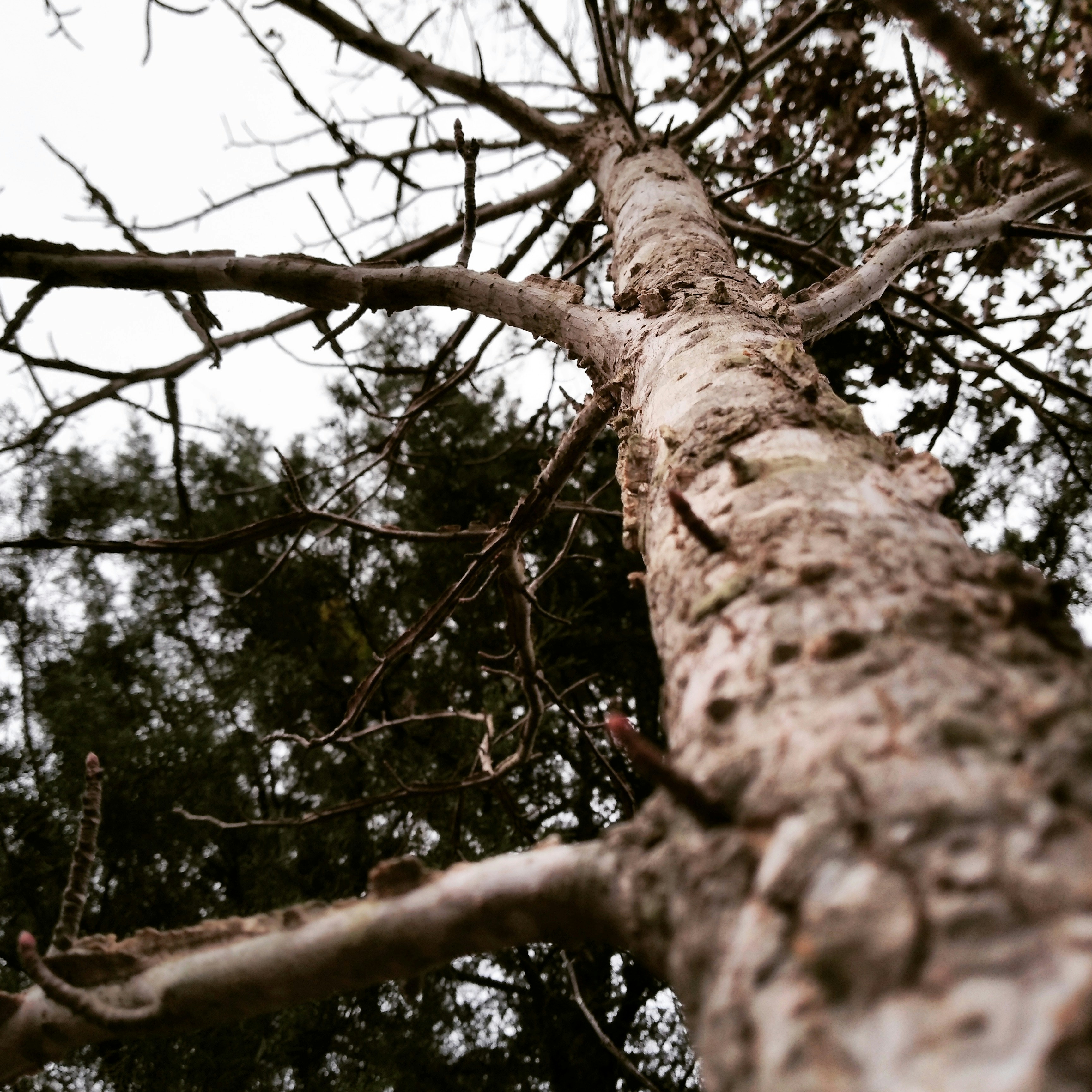 Photo by annagrace_15