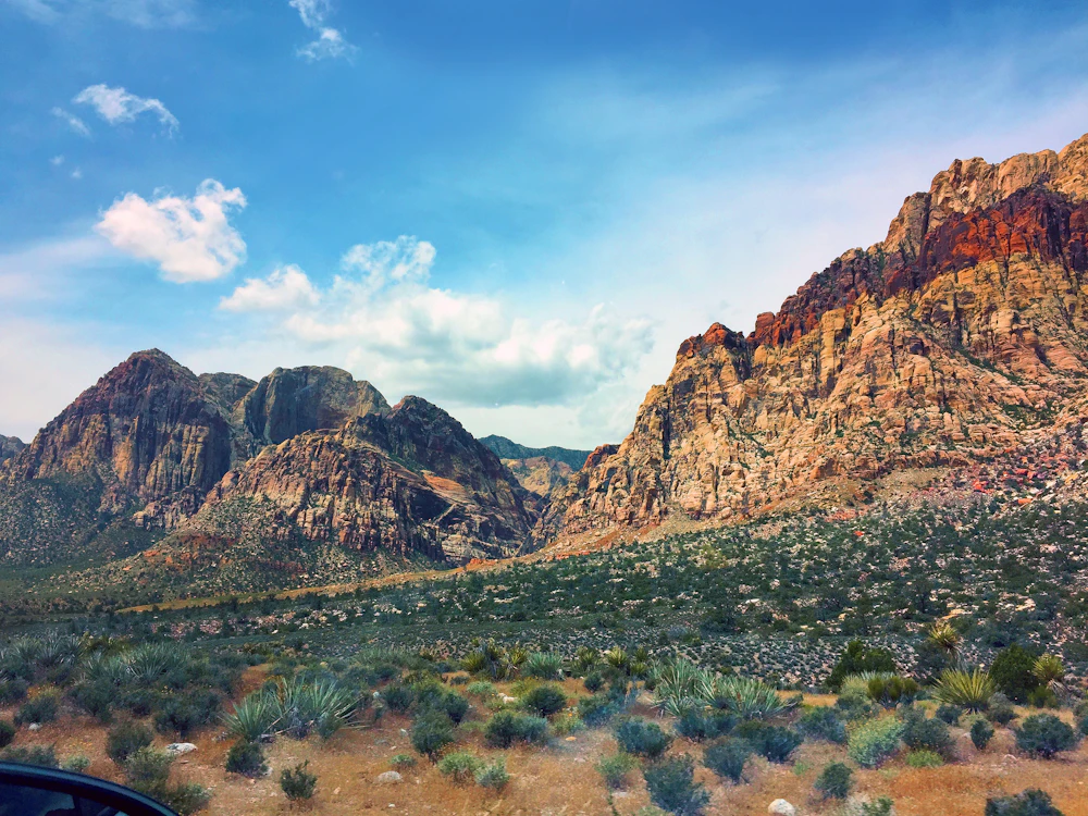Green meadow at the foot of desert cliffs under a blue sky