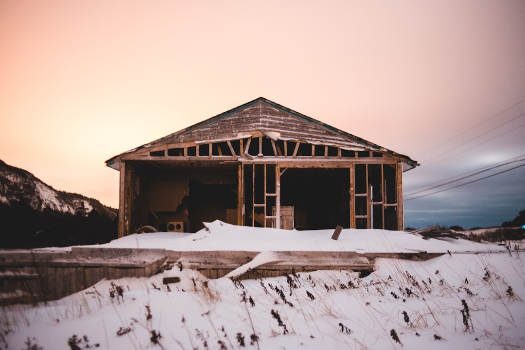 shallow focus photo of cabin