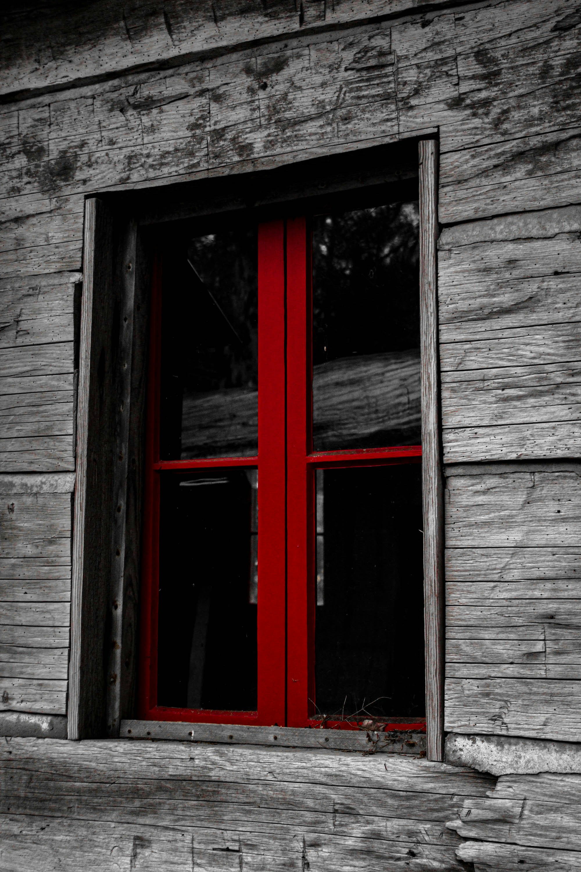 Photo by cambrealine