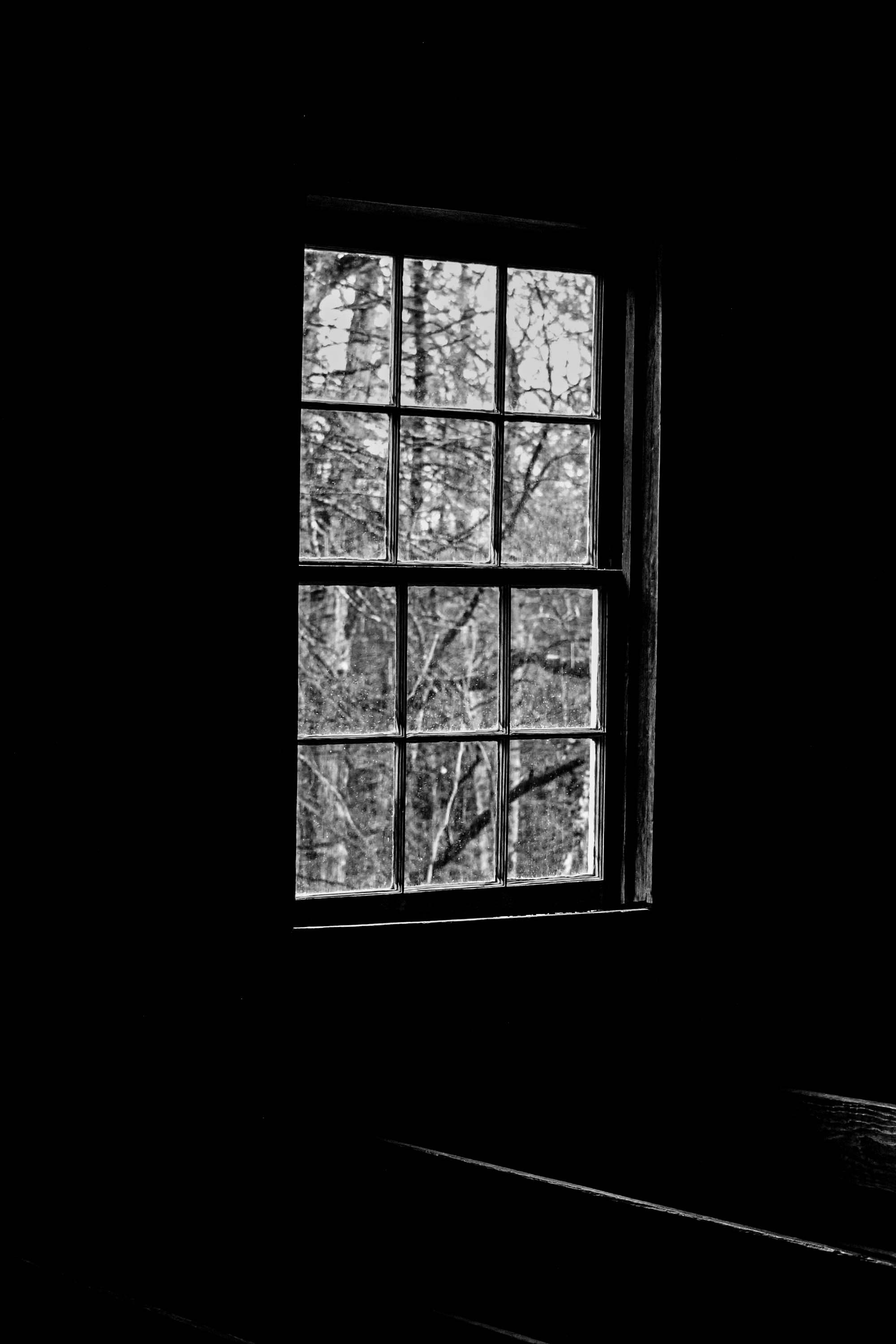 Photo by cambrealine