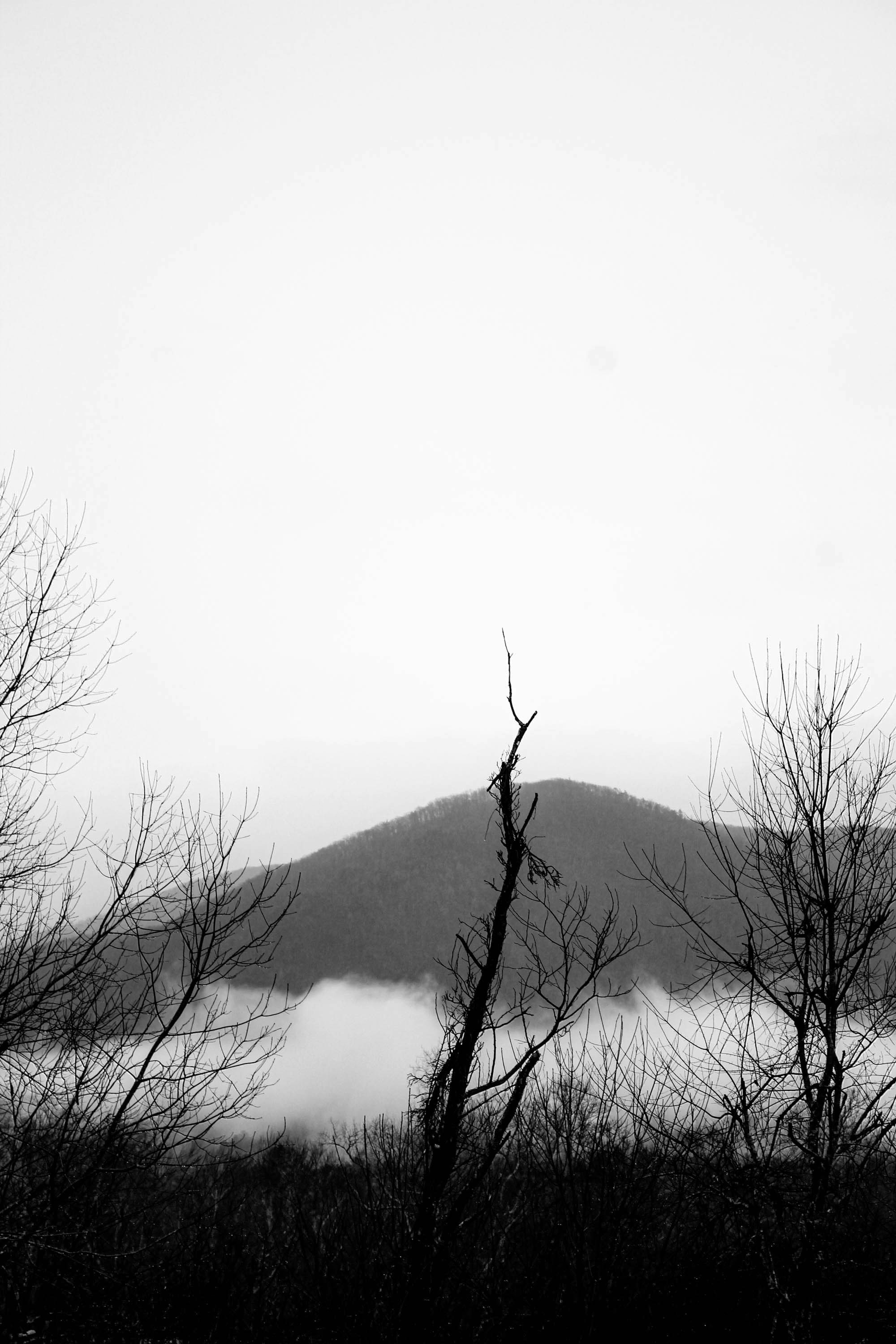 Photo by cambrealine