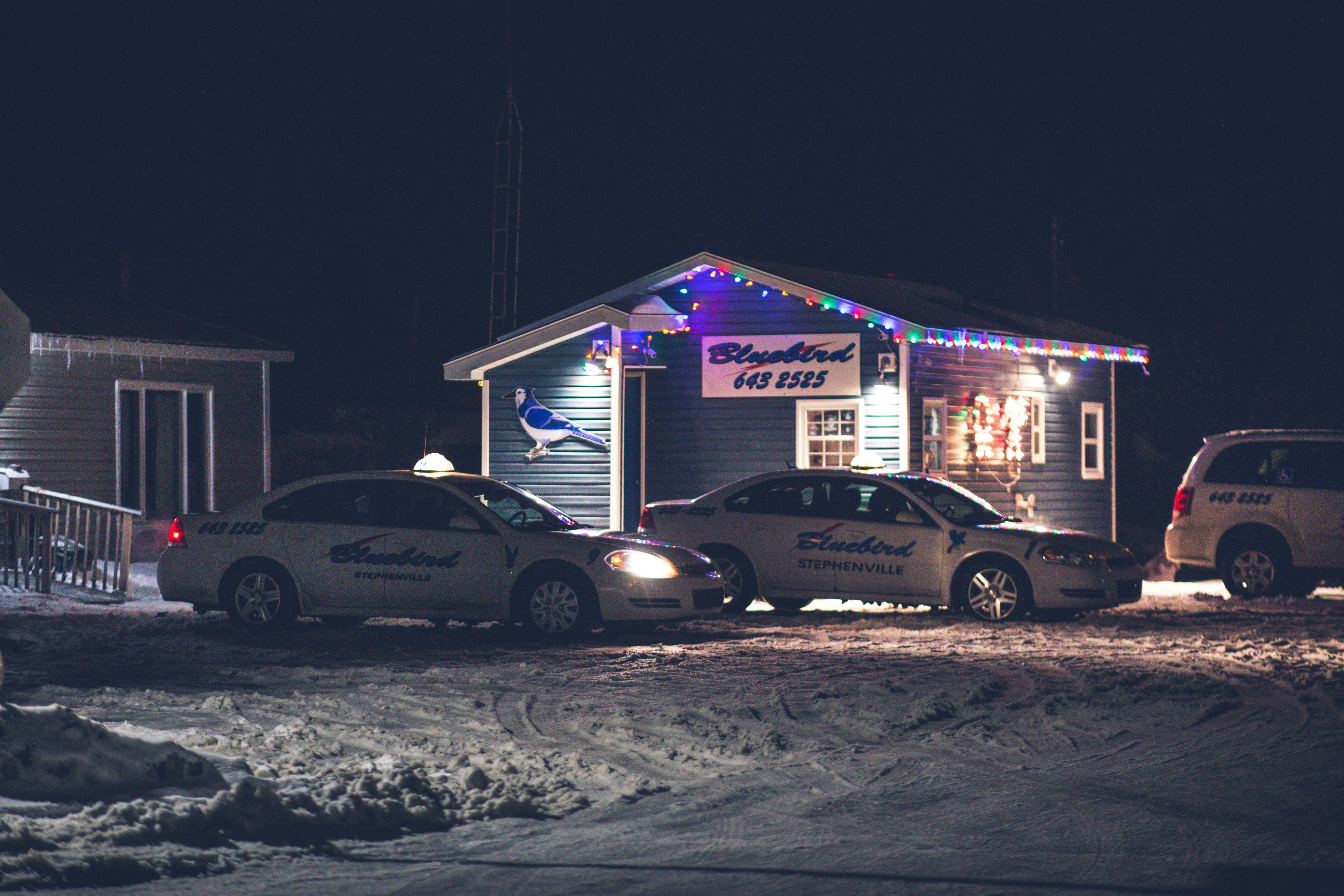 EV Car Options in 2025: Which Electric Vehicle Is Right for You?