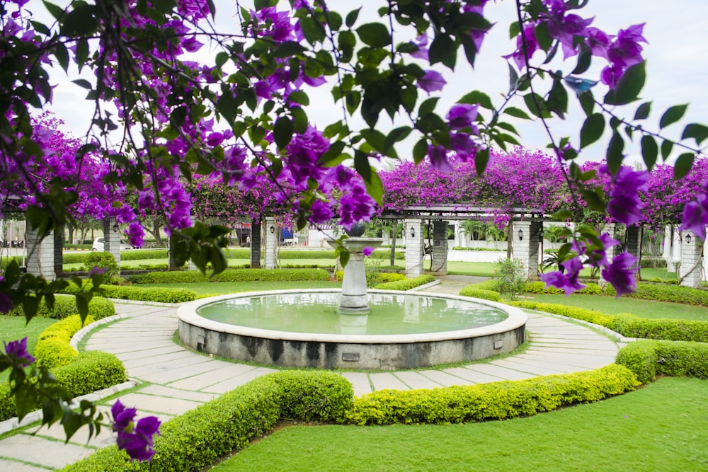 water fountain with pathways near flowers during day