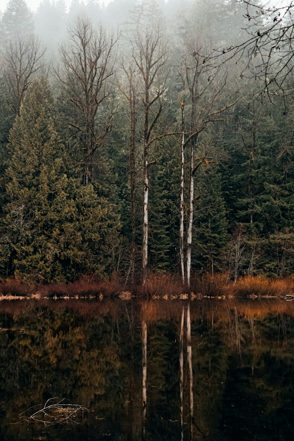 calm body of water