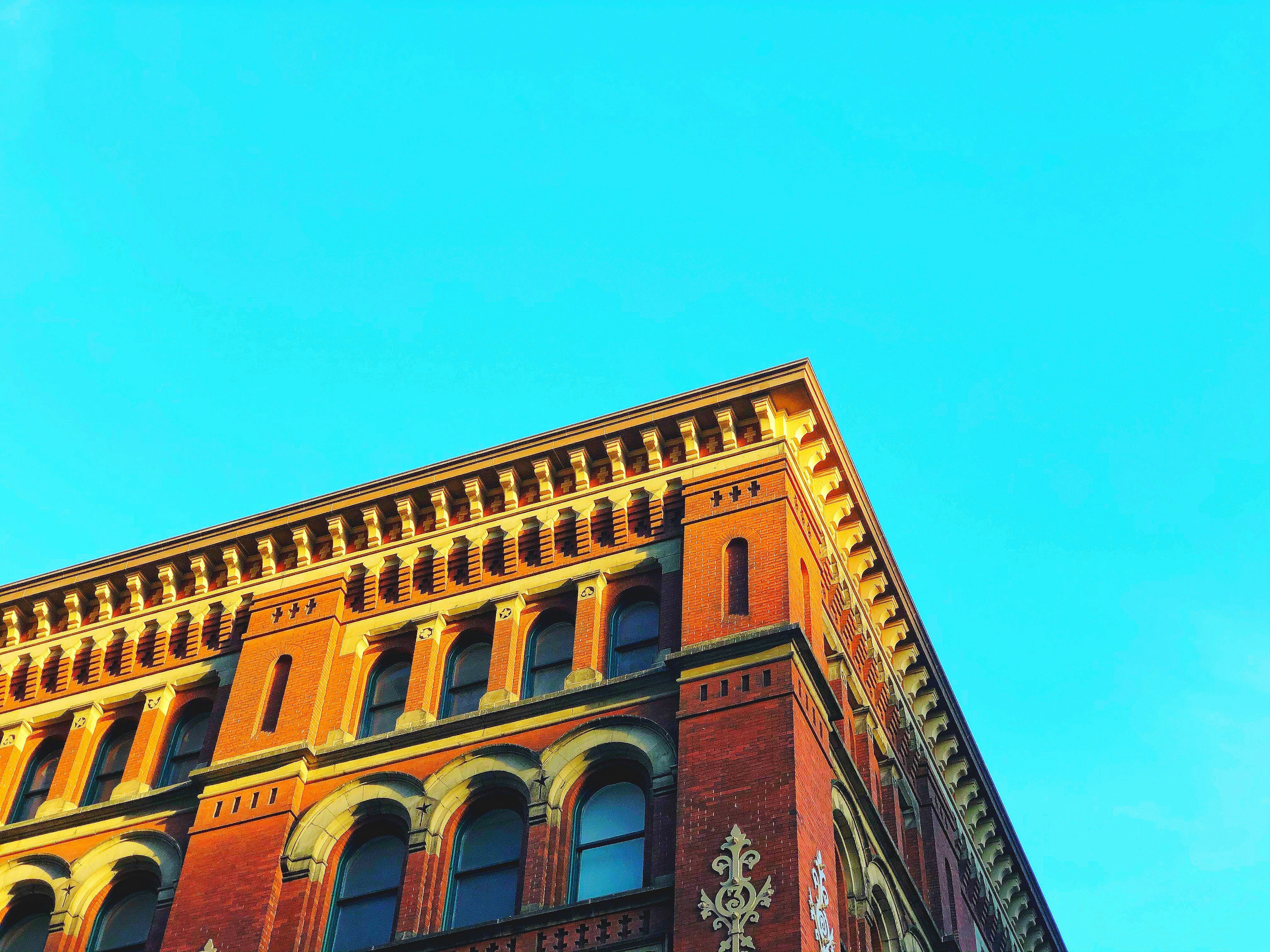 shallow focus photo of brown building