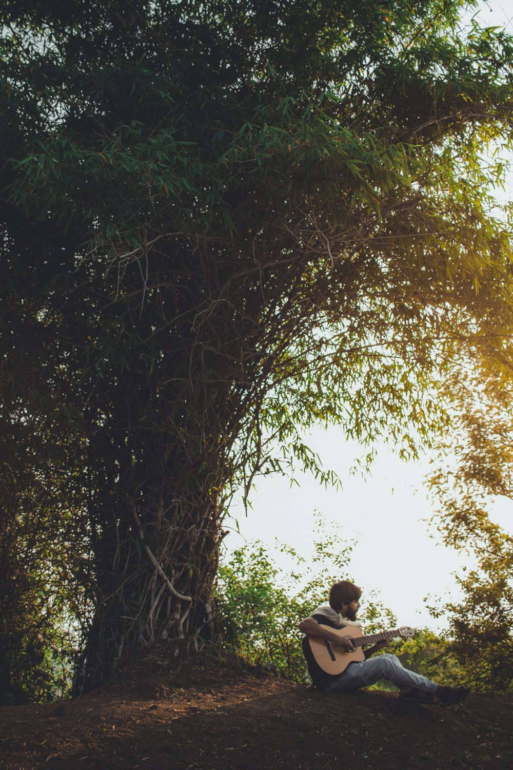 man sitting on ground playing guitar beside green trees