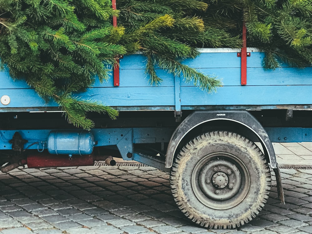 shallow focus photo of leaves on truck