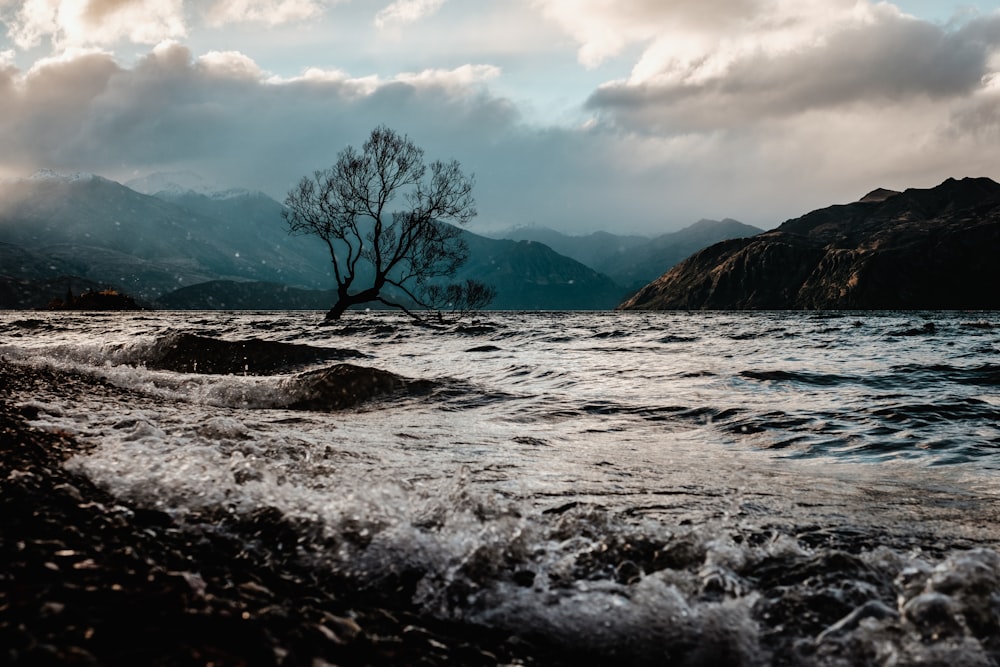 rippling body of water